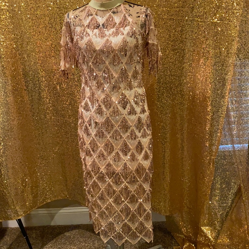 Fashion Nova Sequins Dress